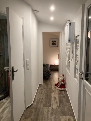Appartement Mozart Страсбург Екстериор снимка